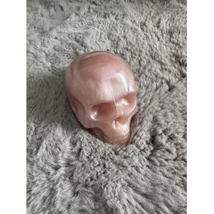 TÊTE DE MORT  - Rose