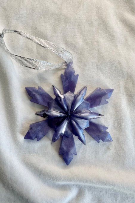 ÉTOILE DE NOEL