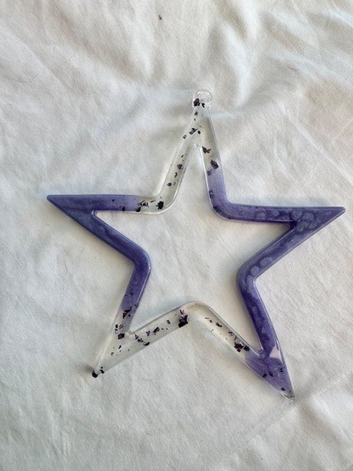 ÉTOILE DE NOËL XL